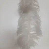 پر علامت آفریقایی|کلکسیون اشیاء عتیقه|تهران, امام حسین|دیوار