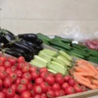 میوه و تره بار تازه تاسیس برکت با قیمت مناسب|خوردنی و آشامیدنی|نیشابور, شهرک اندیشه|دیوار