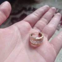 گوشواره طلا گمشده