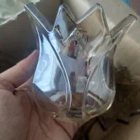 حباب لاله لوستر