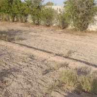 زمین-کشاورزی-نزدیک-فروشگاه-کوثر