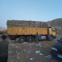 خرید انواع چوب و درخت