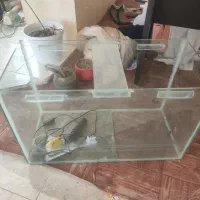 آکواریوم .بخاری و چراغ یو وی و پمپ