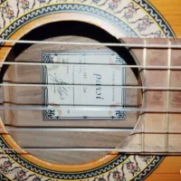 گیتار پارسه مدل M5نو|گیتار، بیس، امپلیفایر|گرمدره, |دیوار