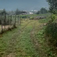 باغی ۴۲۰ متری چسبیده به طرح اوشیان|فروش زمین و ملک کلنگی|چابکسر, |دیوار