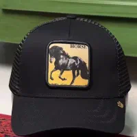 کلاه|لباس|خوی, |دیوار