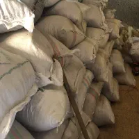 پوست برنج(خاسوج یا شلتوک)