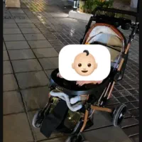 کالسکه دلیجان