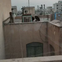 نصب توری مرغی بالکن تراس نورگیر جلوگیری کبوتر|خدمات پیشه و مهارت|تهران, دروس|دیوار