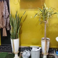 واگذاری کافه ساندویچ|اجارهٔ مغازه و غرفه|کوهدشت, |دیوار