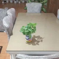 یک دست نهارخوری۶نفره و ی مبل۵نفره ست|میز و صندلی غذاخوری|ایلام, |دیوار