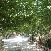 باغ ویلا بسیار سرسبز و زیبا برای یک روز شاد|اجارهٔ کوتاه‌مدت ویلا و باغ|مشهد, توس فردوسی|دیوار