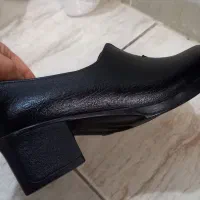 کفش نو|کیف، کفش، کمربند|همدان, |دیوار