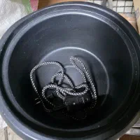 پلو پز|سایر لوازم برقی|مشهد, کوشش|دیوار