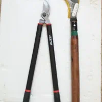 شاخه زن تایوانی و داس هرس چینی