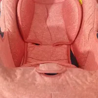 کریر سایز بزرگ|کالسکه و لوازم جانبی|جوانرود, |دیوار