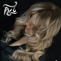 استخدام دستیار حرفه ای رنگ مش|استخدام درمانی، زیبایی، بهداشتی|تهران, تهرانپارس جنوبی|دیوار