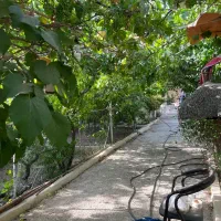 ویلایی 700متر دربست 2 طبقه رو پیلوت4واحد135 متری