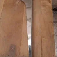 رگال ترانس قفسه