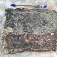 دعا. و سر کتاب|فعالیت داوطلبانه|سبزوار, بیهق شرقی|دیوار