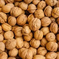 گردو روغنی محلی