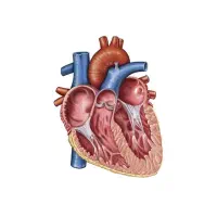 آموزش آنلاین زیست شناسی