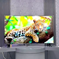 تلویزیون ۵۵اینچ الجی LG QNED82Aکیفیت عالی گیمنینگ