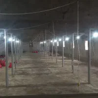 مرغداری گوشتی|فروش دفتر صنعتی، کشاورزی، تجاری|عسگران, |دیوار