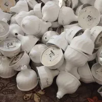 لامپ کم مصرف ال ای دی ۵۰وات با یک سال تاریخ خورده