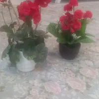گل مصنوعی همراه گلدان