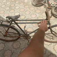 دوچرخه|دوچرخه، اسکیت، اسکوتر|اهواز, فدک|دیوار