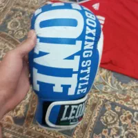 دستکش چ کفش بوکس