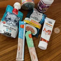 غذای گربه|لوازم جانبی حیوانات|خوی, |دیوار