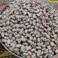 لوبیا چیتی تمیز دستچین شده بدون خرابی