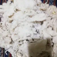 پنبه برای بالش وتوشک