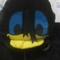 کاپشن