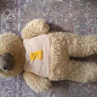 عروسک خرس دوعدد