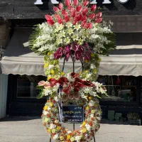 تاج گل باکس گل دسته گل|خدمات پذیرایی، مراسم|مراغه, |دیوار