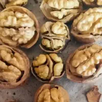 گردوی پوست کاغذی تویسرکان