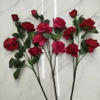 گل محمدی و ارکیده