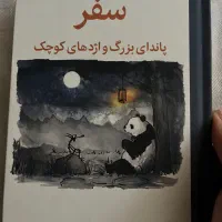 کتاب پاندای بزرگ و اژدهای کوچک