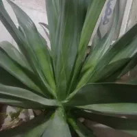 مدارک  پیدا شده درمحدوده بلوار پاسارگاد دوروز پیش