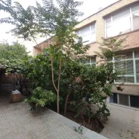 حیاط ۳۱۱متری فلکه مارالان