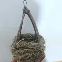 لانه یا آشیانه خانه پرندگان