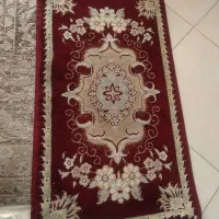 پادری زرشکی