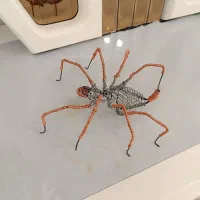 مجسمه سیمی رتیل