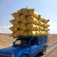 کاه