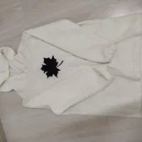 هودی طرح برگه