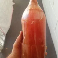 ابغوره خانگی