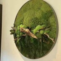 ماس وال و دیوار خزه ای